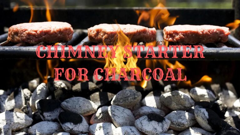 Top 4 Best Chimney Starter for Charcoal Grilling: Reviews & Buyer’s Guide